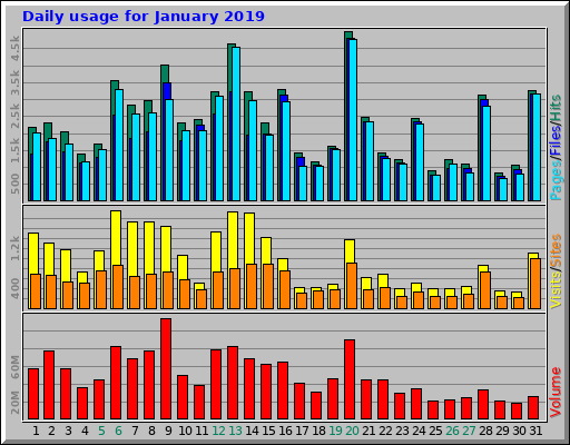 Daily usage for January 2019