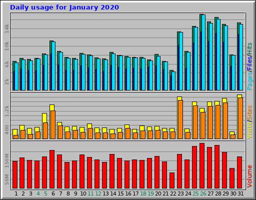 Daily usage for January 2020