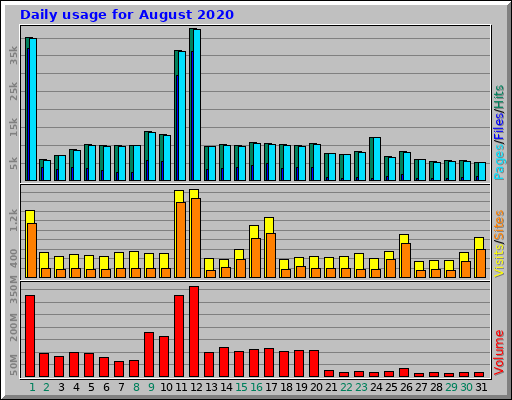 Daily usage for August 2020