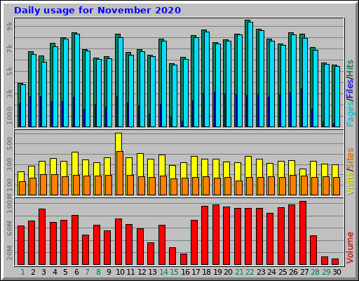 Daily usage for November 2020