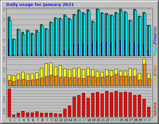 Daily usage for January 2021