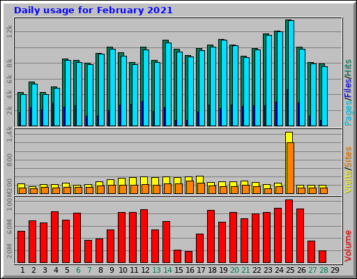 Daily usage for February 2021