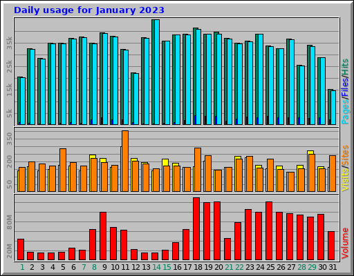 Daily usage for January 2023