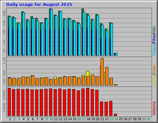 Daily usage for August 2025