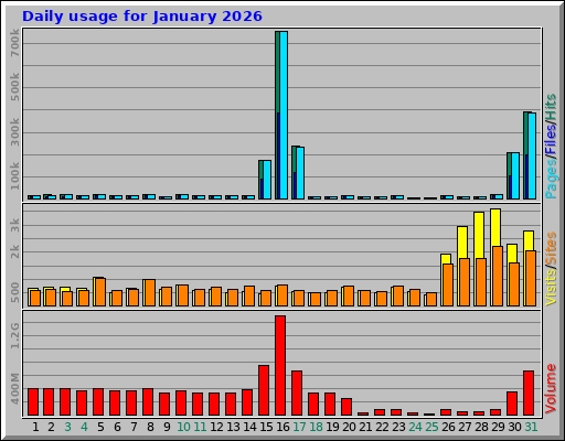Daily usage for January 2026