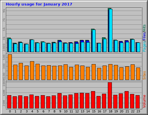 Hourly usage for January 2017