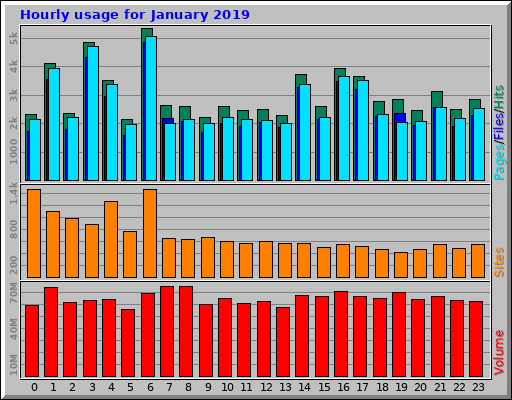 Hourly usage for January 2019