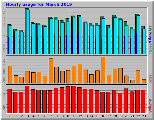 Hourly usage for March 2019