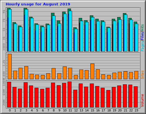 Hourly usage for August 2019