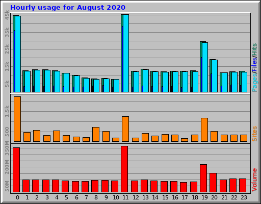 Hourly usage for August 2020