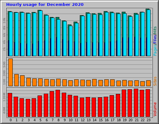 Hourly usage for December 2020