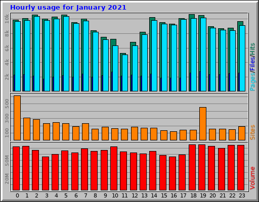 Hourly usage for January 2021