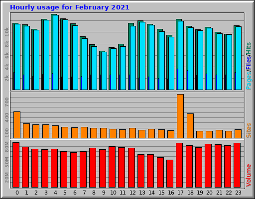 Hourly usage for February 2021