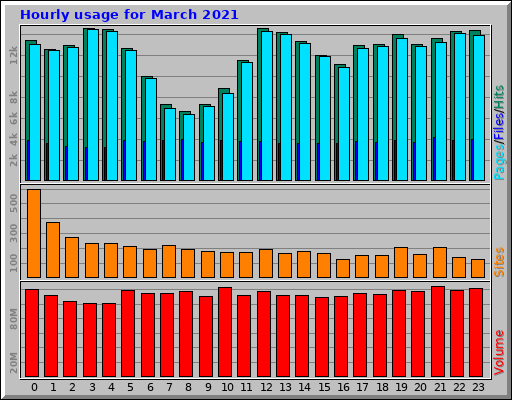 Hourly usage for March 2021