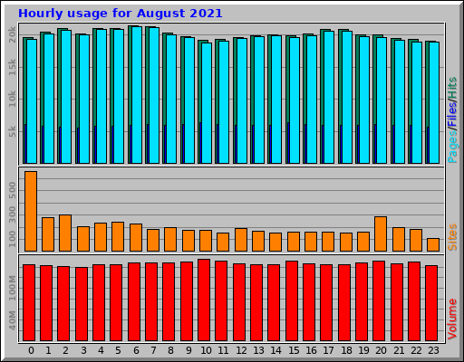 Hourly usage for August 2021
