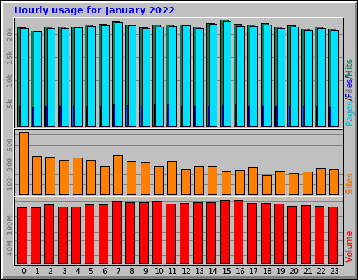 Hourly usage for January 2022