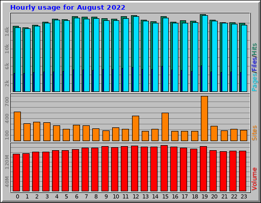 Hourly usage for August 2022