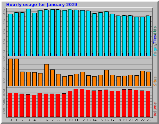 Hourly usage for January 2023
