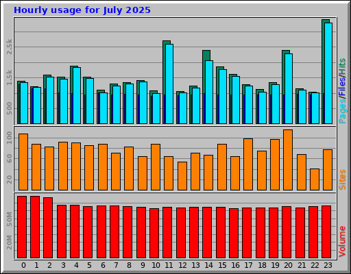 Hourly usage for July 2025