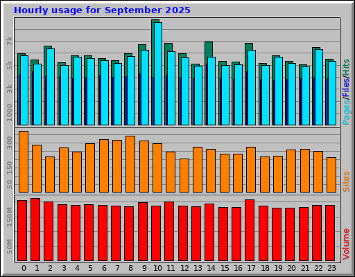 Hourly usage for September 2025