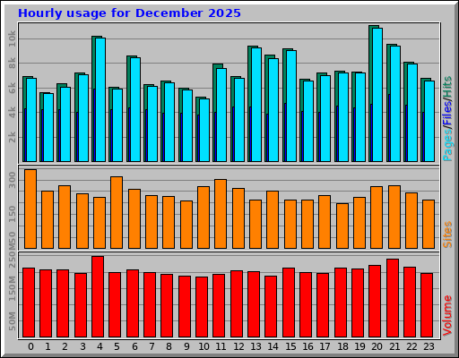 Hourly usage for December 2025 Hourly usage for December 2025