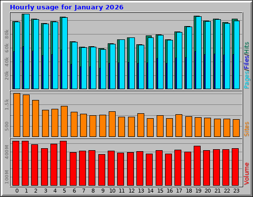 Hourly usage for January 2026